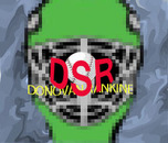 DSR Portfolio